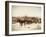 Wyoming Grand Encampment Stagecoach-null-Framed Art Print