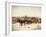 Wyoming Grand Encampment Stagecoach-null-Framed Art Print