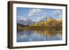 Wyoming, Grand Teton National Park, Autumn Color Along the Snake River Oxbow with Mt-Elizabeth Boehm-Framed Photographic Print