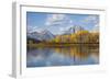 Wyoming, Grand Teton National Park, Autumn Color Along the Snake River Oxbow with Mt-Elizabeth Boehm-Framed Photographic Print