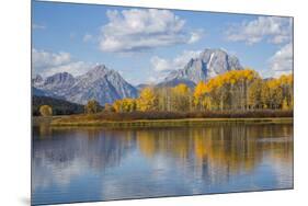 Wyoming, Grand Teton National Park, Autumn Color Along the Snake River Oxbow with Mt-Elizabeth Boehm-Mounted Premium Photographic Print