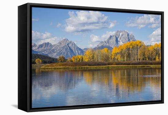 Wyoming, Grand Teton National Park, Autumn Color Along the Snake River Oxbow with Mt-Elizabeth Boehm-Framed Stretched Canvas