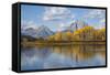 Wyoming, Grand Teton National Park, Autumn Color Along the Snake River Oxbow with Mt-Elizabeth Boehm-Framed Stretched Canvas