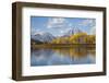 Wyoming, Grand Teton National Park, Autumn Color Along the Snake River Oxbow with Mt-Elizabeth Boehm-Framed Photographic Print