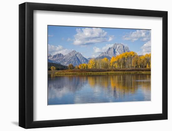 Wyoming, Grand Teton National Park, Autumn Color Along the Snake River Oxbow with Mt-Elizabeth Boehm-Framed Photographic Print