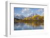 Wyoming, Grand Teton National Park, Autumn Color Along the Snake River Oxbow with Mt-Elizabeth Boehm-Framed Photographic Print