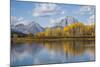 Wyoming, Grand Teton National Park, Autumn Color Along the Snake River Oxbow with Mt-Elizabeth Boehm-Mounted Photographic Print