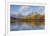 Wyoming, Grand Teton National Park, Autumn Color Along the Snake River Oxbow with Mt-Elizabeth Boehm-Framed Photographic Print