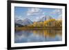 Wyoming, Grand Teton National Park, Autumn Color Along the Snake River Oxbow with Mt-Elizabeth Boehm-Framed Photographic Print