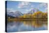 Wyoming, Grand Teton National Park, Autumn Color Along the Snake River Oxbow with Mt-Elizabeth Boehm-Stretched Canvas