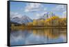 Wyoming, Grand Teton National Park, Autumn Color Along the Snake River Oxbow with Mt-Elizabeth Boehm-Framed Stretched Canvas