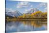 Wyoming, Grand Teton National Park, Autumn Color Along the Snake River Oxbow with Mt-Elizabeth Boehm-Stretched Canvas