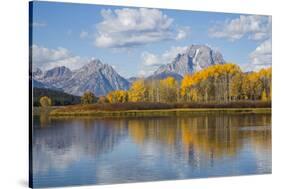 Wyoming, Grand Teton National Park, Autumn Color Along the Snake River Oxbow with Mt-Elizabeth Boehm-Stretched Canvas