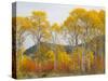 Wyoming, Grand Teton National Park. Golden Aspen trees-Jamie and Judy Wild-Stretched Canvas