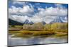 Wyoming, Grand Teton National Park. Landscape of Water, Forest and Mountains-Jaynes Gallery-Mounted Photographic Print