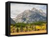 Wyoming, Grand Teton National Park. Teton Range and golden Aspen trees-Jamie and Judy Wild-Framed Stretched Canvas