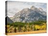 Wyoming, Grand Teton National Park. Teton Range and golden Aspen trees-Jamie and Judy Wild-Stretched Canvas