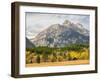 Wyoming, Grand Teton National Park. Teton Range and golden Aspen trees-Jamie and Judy Wild-Framed Photographic Print