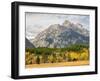 Wyoming, Grand Teton National Park. Teton Range and golden Aspen trees-Jamie and Judy Wild-Framed Photographic Print