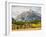 Wyoming, Grand Teton National Park. Teton Range and golden Aspen trees-Jamie and Judy Wild-Framed Photographic Print