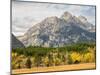 Wyoming, Grand Teton National Park. Teton Range and golden Aspen trees-Jamie and Judy Wild-Mounted Photographic Print