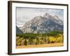 Wyoming, Grand Teton National Park. Teton Range and golden Aspen trees-Jamie and Judy Wild-Framed Photographic Print