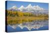 Wyoming, Grand Teton NP. Fresh snowfall covers the Grand Teton Mountains on an autumn morning-Elizabeth Boehm-Stretched Canvas