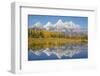 Wyoming, Grand Teton NP. Fresh snowfall covers the Grand Teton Mountains on an autumn morning-Elizabeth Boehm-Framed Photographic Print