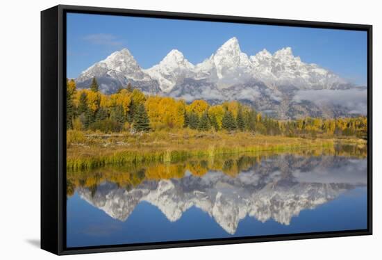 Wyoming, Grand Teton NP. Fresh snowfall covers the Grand Teton Mountains on an autumn morning-Elizabeth Boehm-Framed Stretched Canvas