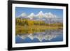 Wyoming, Grand Teton NP. Fresh snowfall covers the Grand Teton Mountains on an autumn morning-Elizabeth Boehm-Framed Photographic Print