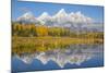 Wyoming, Grand Teton NP. Fresh snowfall covers the Grand Teton Mountains on an autumn morning-Elizabeth Boehm-Mounted Photographic Print