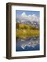 Wyoming, Grand Teton NP. Grand Teton with fresh snow is reflected in a pond with autumn cottonwoods-Elizabeth Boehm-Framed Photographic Print