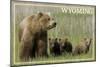 Wyoming - Grizzly Bear and Cubs (James T. Jones) Lantern Press Photography-Lantern Press-Mounted Art Print