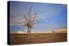 Wyoming High Desert Beauty-Amanda Lee Smith-Stretched Canvas