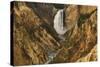 Wyoming, Lower Falls Yellowstone National Park-Patrick J. Wall-Stretched Canvas