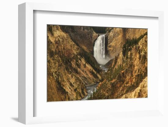 Wyoming, Lower Falls Yellowstone National Park-Patrick J. Wall-Framed Photographic Print