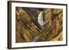 Wyoming, Lower Falls Yellowstone National Park-Patrick J. Wall-Framed Photographic Print