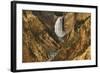 Wyoming, Lower Falls Yellowstone National Park-Patrick J. Wall-Framed Photographic Print