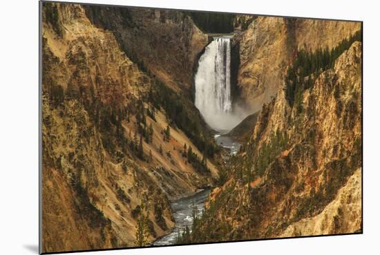 Wyoming, Lower Falls Yellowstone National Park-Patrick J. Wall-Mounted Photographic Print