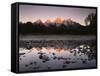 Wyoming, Rocky Mts, the Grand Tetons Reflecting in the Snake River-Christopher Talbot Frank-Framed Stretched Canvas