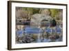 Wyoming, Sublette Co, Mule Deer Doe and Fawns Crossing a River-Elizabeth Boehm-Framed Photographic Print