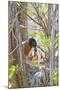 Wyoming, Sublette County, American Robin Feeding Nestlings Worms-Elizabeth Boehm-Mounted Photographic Print