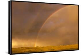 Wyoming, Sublette County, Double Rainbow in Stormy Sky-Elizabeth Boehm-Framed Stretched Canvas