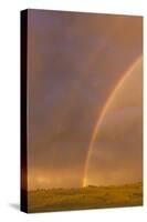 Wyoming, Sublette County, Double Rainbow in Stormy Sky-Elizabeth Boehm-Stretched Canvas