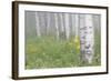 Wyoming, Sublette County, Foggy Aspen Grove and Wildflowers-Elizabeth Boehm-Framed Photographic Print
