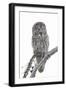 Wyoming, Sublette County, Great Gray Owl Portrait-Elizabeth Boehm-Framed Photographic Print
