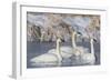 Wyoming, Sublette County. Group of five Trumpeter Swans sitting on a partially ice-covered pond-Elizabeth Boehm-Framed Photographic Print