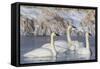 Wyoming, Sublette County. Group of five Trumpeter Swans sitting on a partially ice-covered pond-Elizabeth Boehm-Framed Stretched Canvas