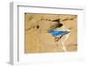 Wyoming, Sublette County. Male Mountain Bluebird leaves the nest sight in a sandstone cliff-Elizabeth Boehm-Framed Photographic Print