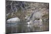 Wyoming, Sublette County, Mule Deer Buck Drinking Water from River-Elizabeth Boehm-Mounted Photographic Print